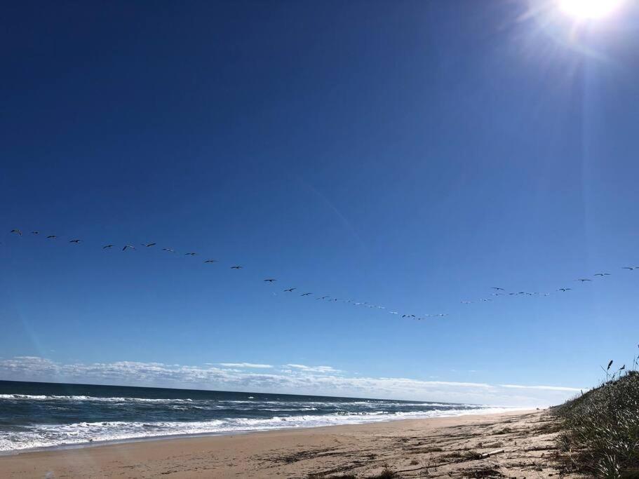 Zen Beach Retreat - Ocean View Townhouse -No Drive Beach Ню Смирна Бийч Екстериор снимка